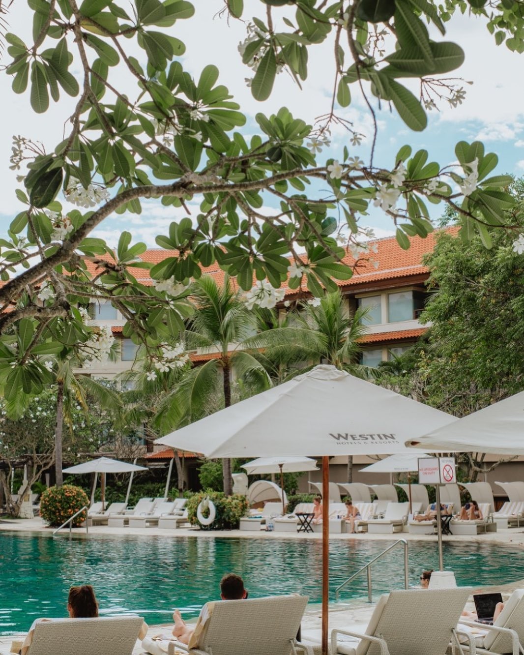 Pemandangan kolam renang yang ada di Westin Resort